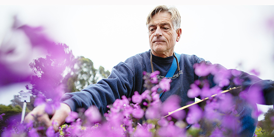 Man working in flowerbed