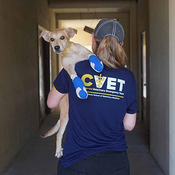 A staff member from the UC Davis School of Veterinary Medicine’s California Veterinary Emergency Team (CVET) carries a puppy with injured paws as part of UC Davis's efforts to support local communities affected by the Park Fire.