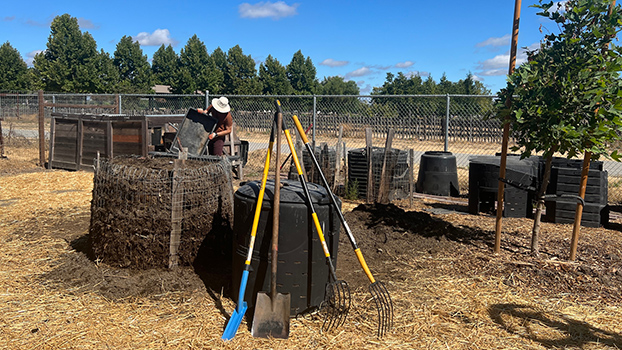 Man with a pitchfork working on large compost pile