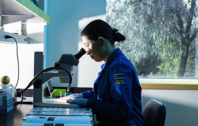 Female scientist looking at a slide with a microscope