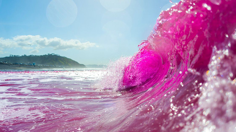 pink-dyed wave