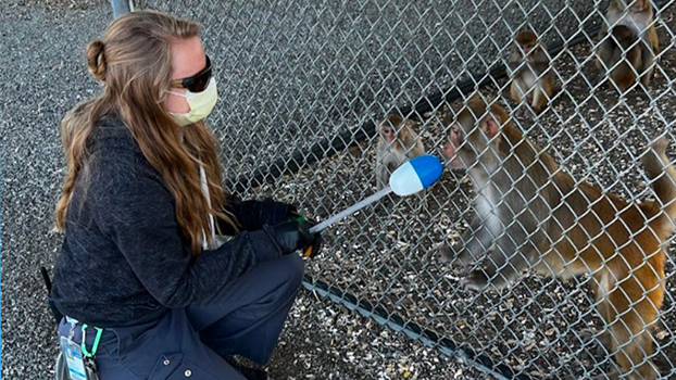 Jonelle Mason works with an ape at UC Davis