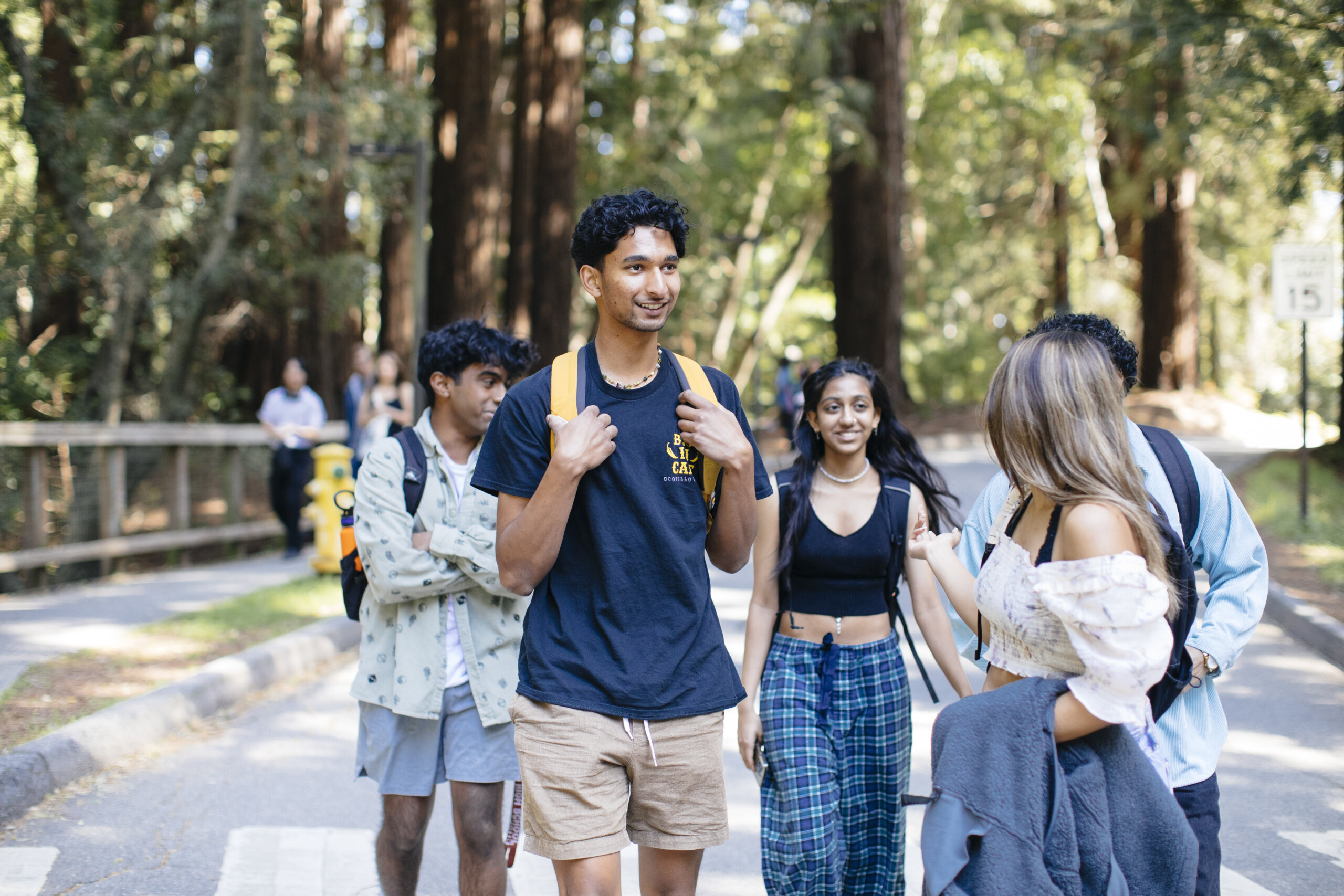 A group of students walks together on a tree-lined path.