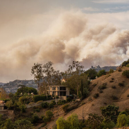 Smoke near Griffith park hillside