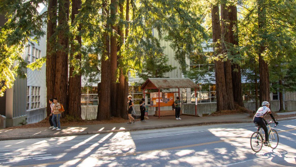 Person biking through UC Santa Cruz campus