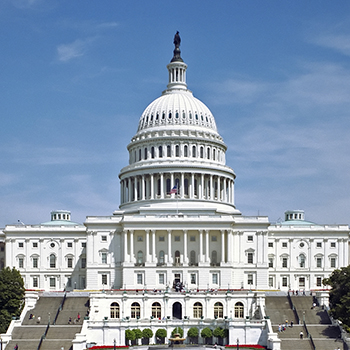 U.S. Capitol Building