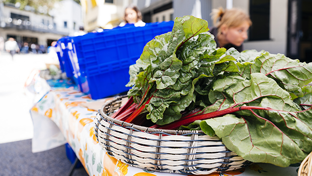 Basket of produce at UC Santa Cruz