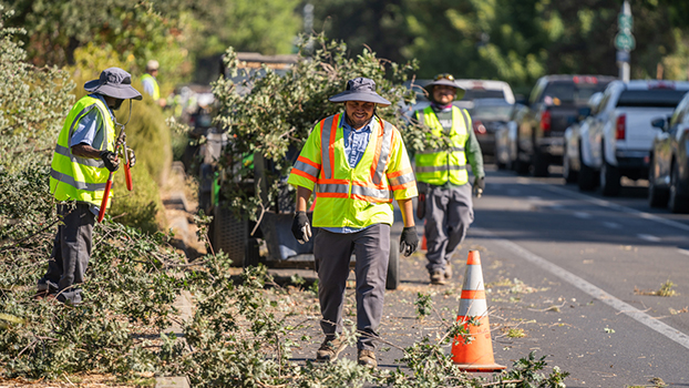 Landscapers prune along roadways at UC Davis
