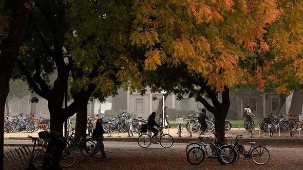 UC Davis students on campus with fall foliage.