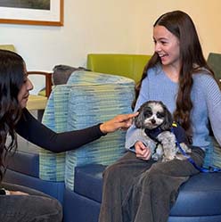 Lauren Torres with tiny dog