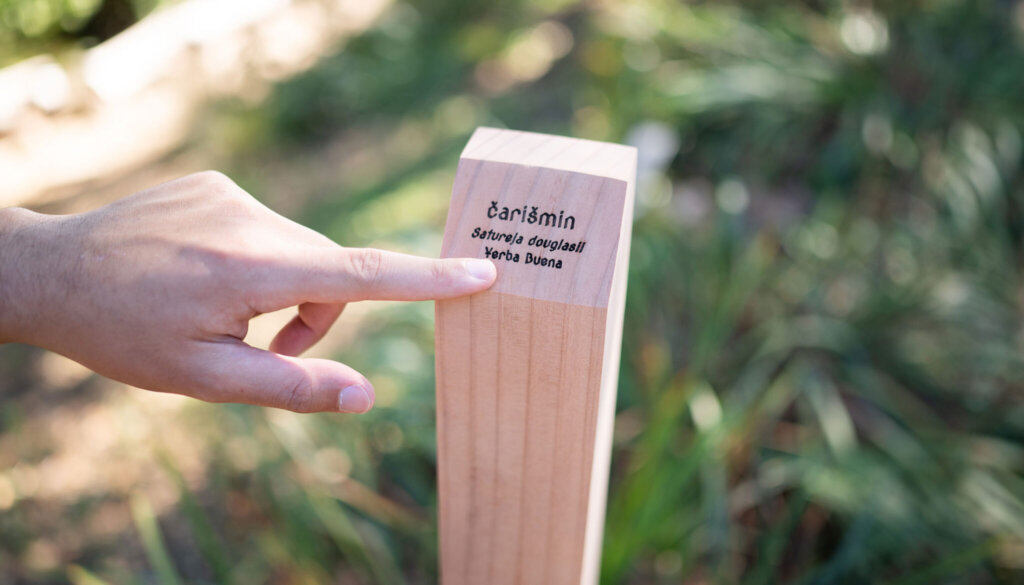 Cedar posts in the Outdoor Nature Lab inscribed with the Chochenyo names for native plants