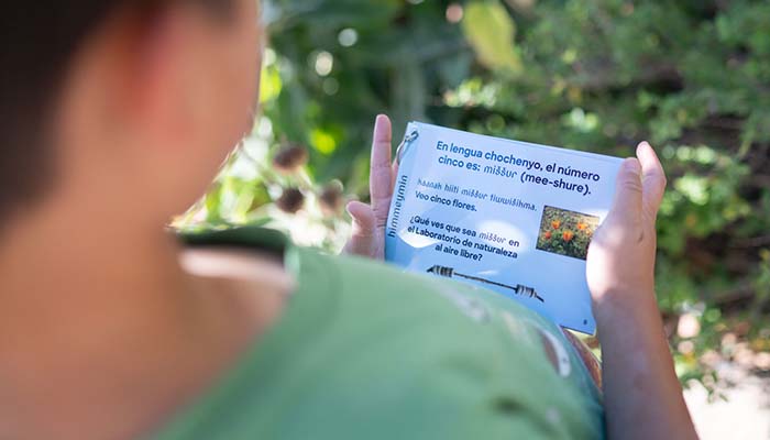 Child reading a card describing plants