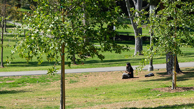 Student sitting in Aldrich Park
