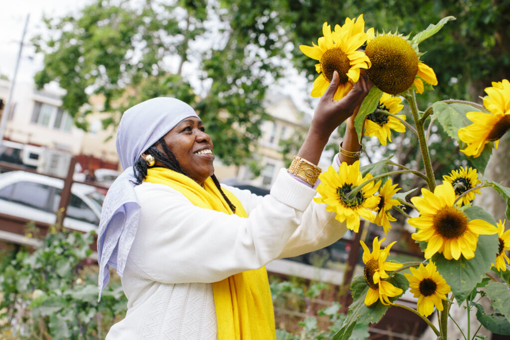 Person tending sunflowers in a garden