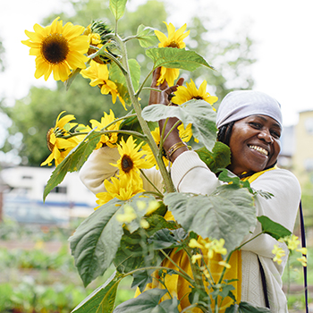 Woman holding bouquet of sunflowers