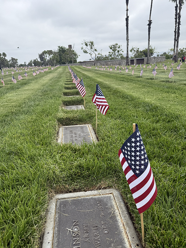 Row of military graves with flags