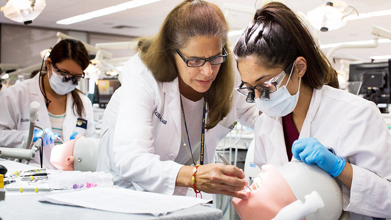 Dental student and teacher at UCSF
