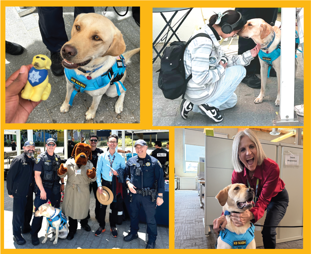 Photo collage of Nash visiting with patients and staff.