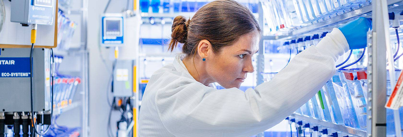 Scientist looking at equipment