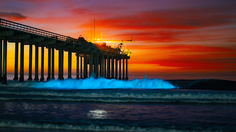 Pier at sunset with waves glowing from bioluminescent algae
