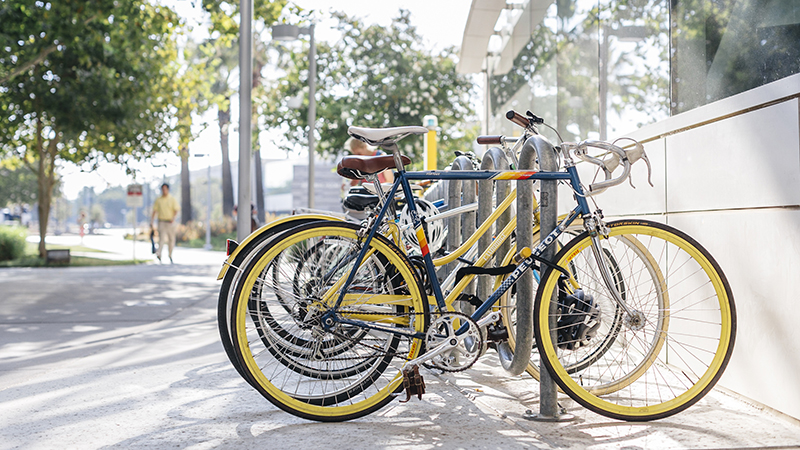 Bicycles at UC Davis Medical Centers