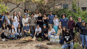 A group of University of California, Berkeley students planting trees in April 2025.