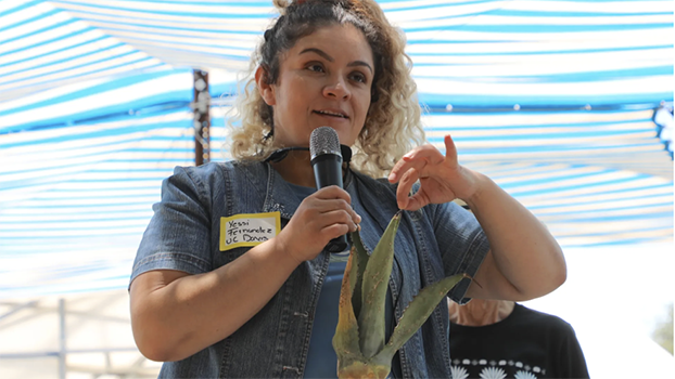 Yessica Fernandez Galicia is a researcher who’s organizing a webinar series to meet the most pressing questions from California agave growers.