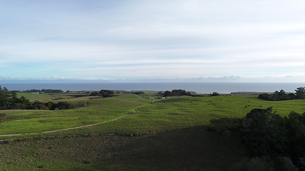 UCSC reserve