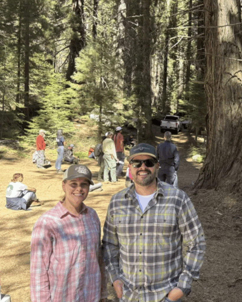 People standing in a redwood forest