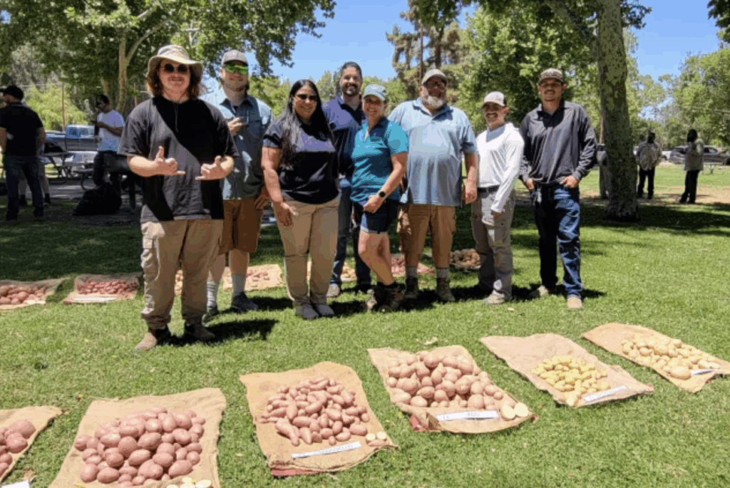 People standing in front of piles of potatoes