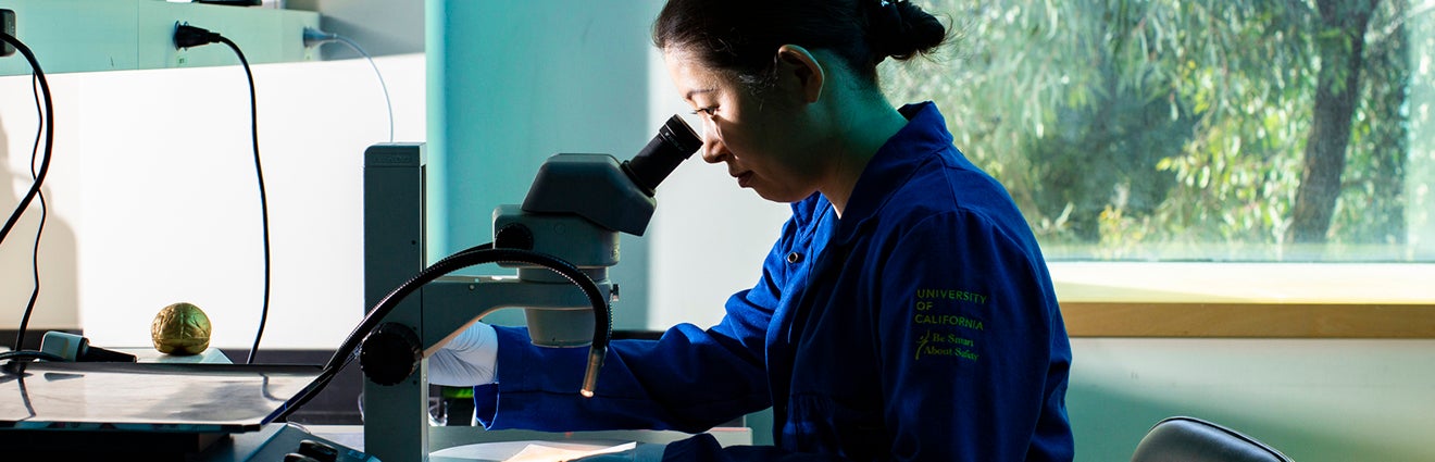 scientist looking through a microscope