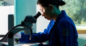 scientist looking through a microscope