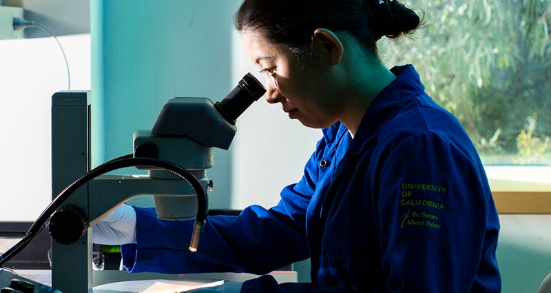 scientist looking through a microscope