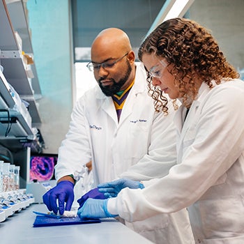 Two scientists working together in a UC lab