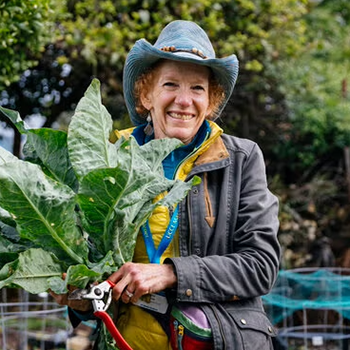 Woman holding a colorful bunch of Swiss chard in a community garden