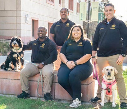 Group of human police officers posing with K-9 officers