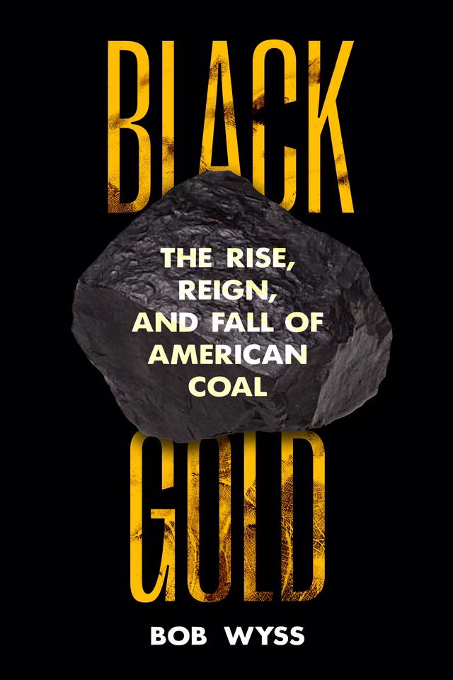 Book cover: “Black Gold: The Rise, Reign and Fall of American Coal.” Large lump of coal in middle of title