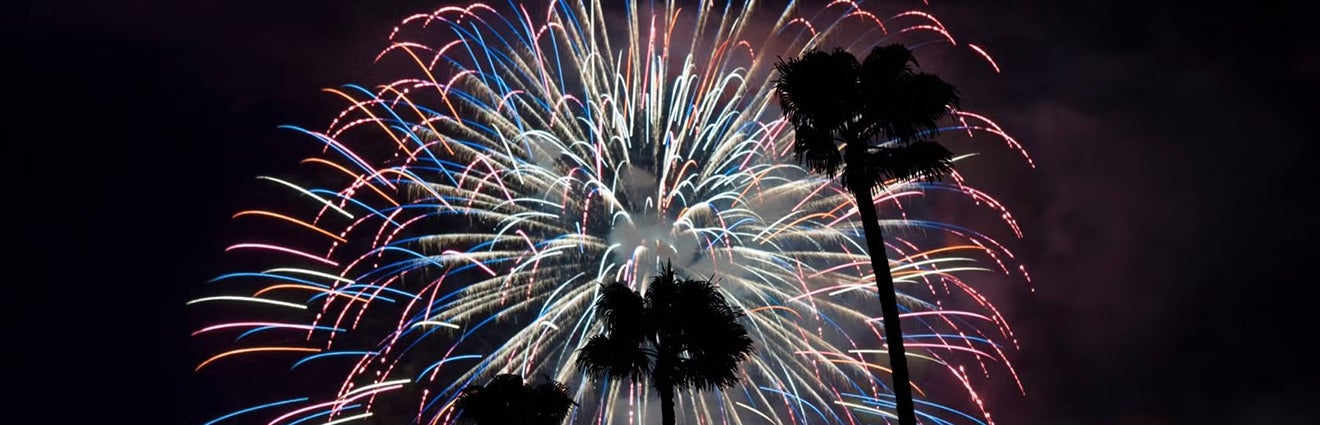 Fireworks light up a night sky with palm trees in the foreground