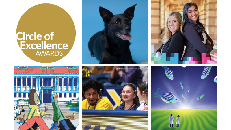 Collage of winning projects including a cute dog, students, an illustration of figures walking across campus and an illustration of people looking at Northern Lights that resemble tropical fish