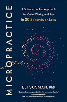 Cover of the book "Micropractice"