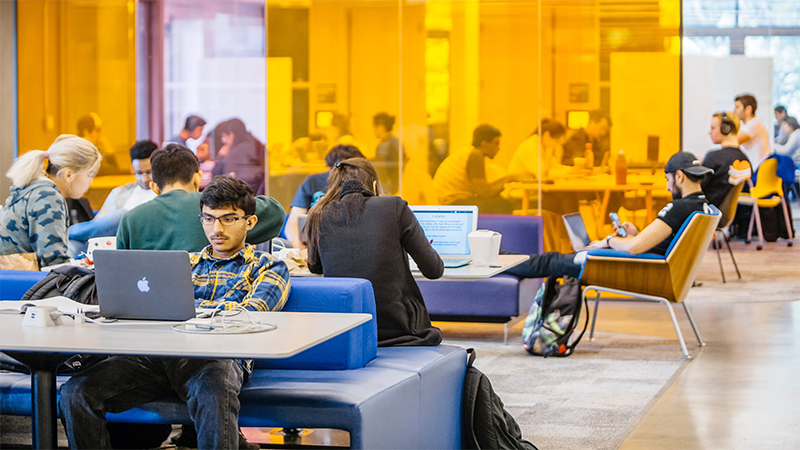UC Berkeley students working in a library