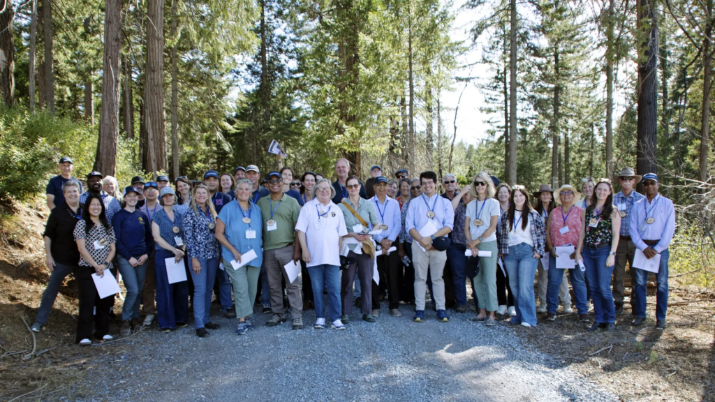 large group of people standing in the woods
